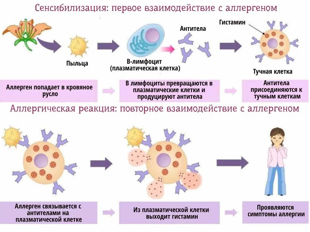 Медицинский центр Доктор+ на Зелёной улице: запись на прием, телефон,  адрес, отзывы цены и скидки на InfoDoctor.ru